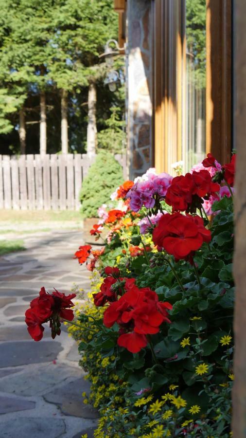 Pension Aspen Harrachov Exterior photo